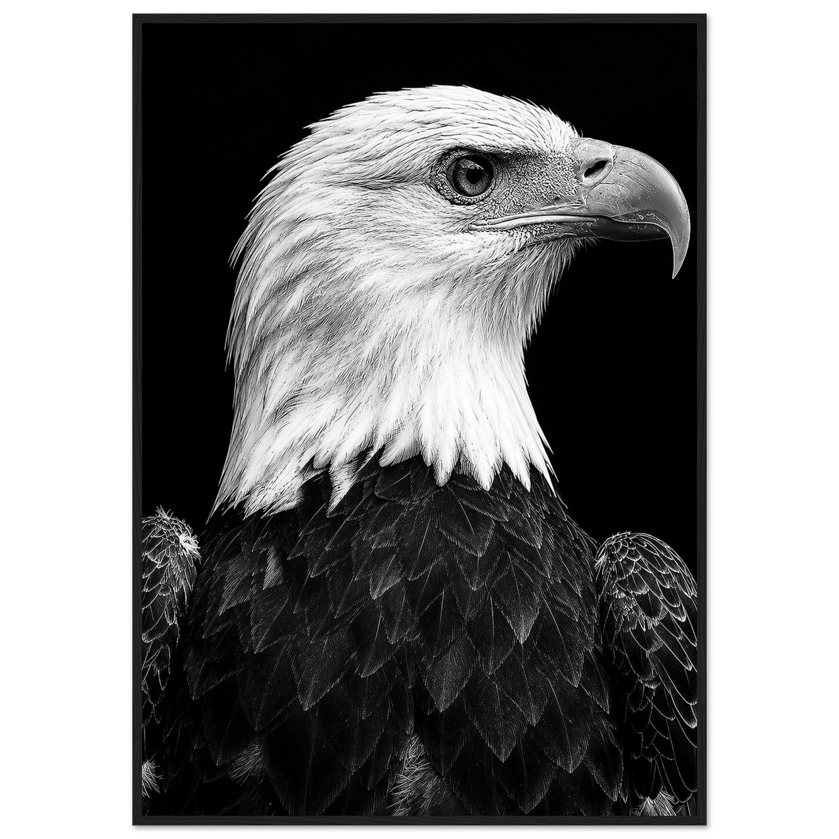 Bald Eagle Framed Poster – Grand Tetons Wildlife Photography by Robert Moss – Fine Art Photography Print