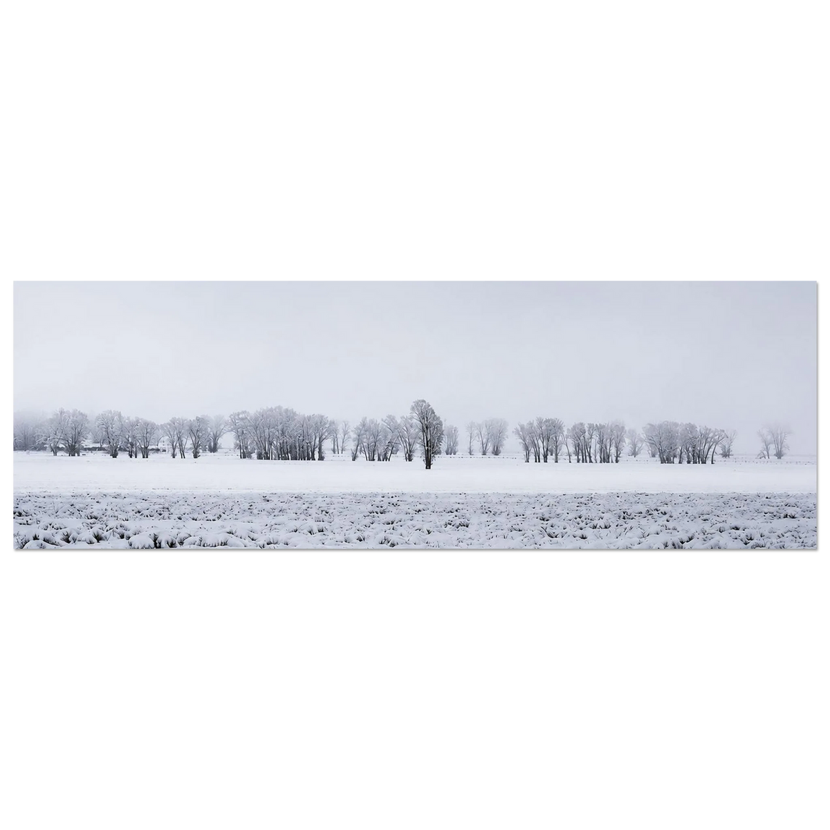 Wyoming Snowy Field by Robert Moss – Fine Art Photography Print