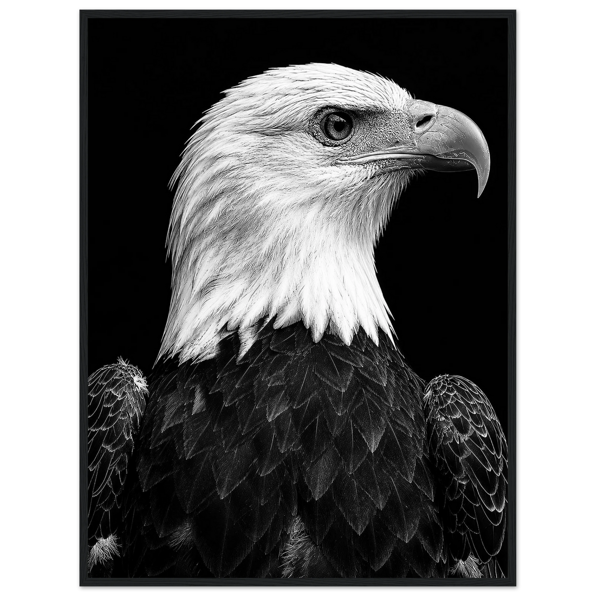 Bald Eagle Framed Poster – Grand Tetons Wildlife Photography by Robert Moss – Fine Art Photography Print