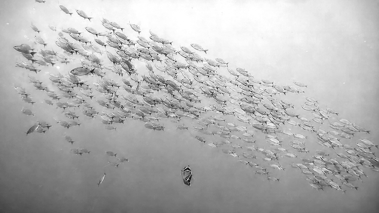 hero image