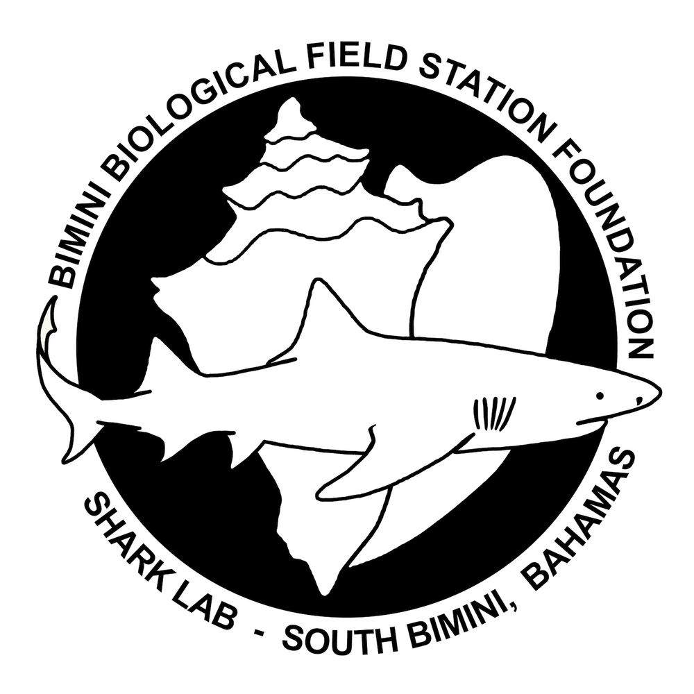 Bimini-Shark-Lab-Conservation-Hoodies-Moss-Apparel MOSS