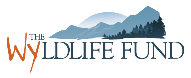 WYldlife-Fund-Long-Sleeve-Shirts-Moss-Apparel MOSS