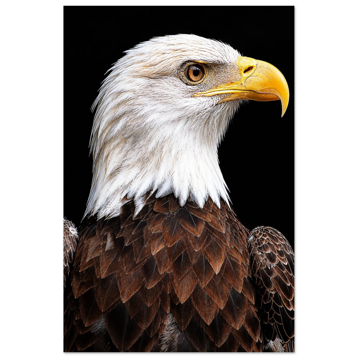 02d0de0c-fcdf-4580-adc3-4b4f211dc9cc