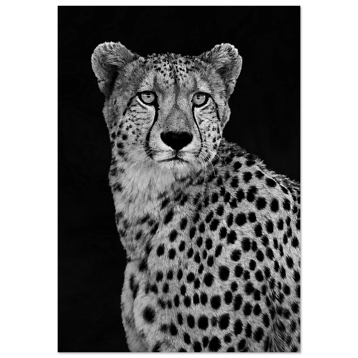 03ac331f-e55c-4add-baf2-1c0046e2d7a1