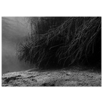 1362e973-57cf-493d-bb87-d6e4290f1452