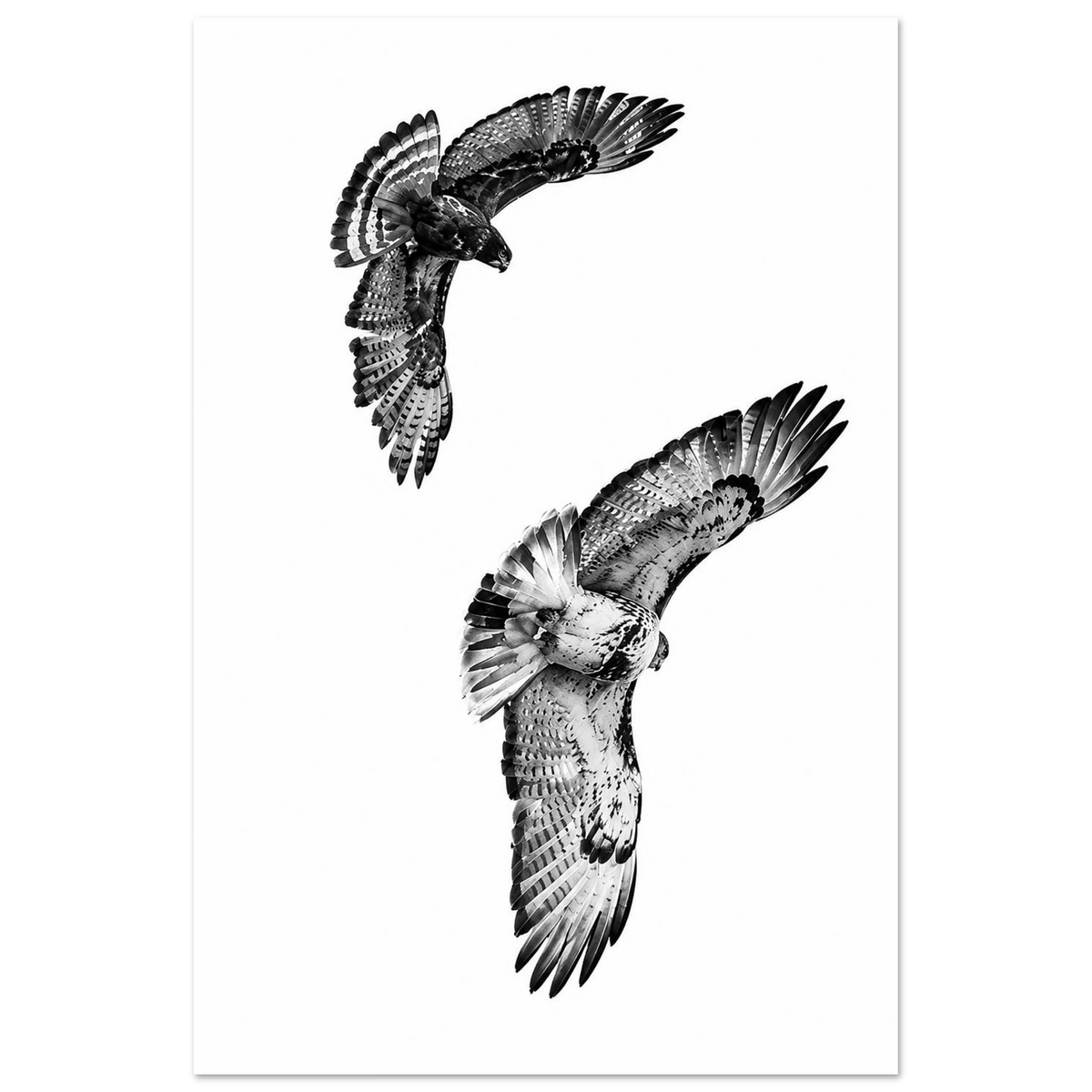 1eb7777b-1283-4064-8519-2af88021128b
