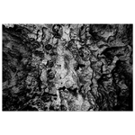2e52d4b9-48e3-4f72-a636-99c549ecfe59