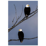 314e91f5-d5ab-4f0d-b79a-2574a7361dab