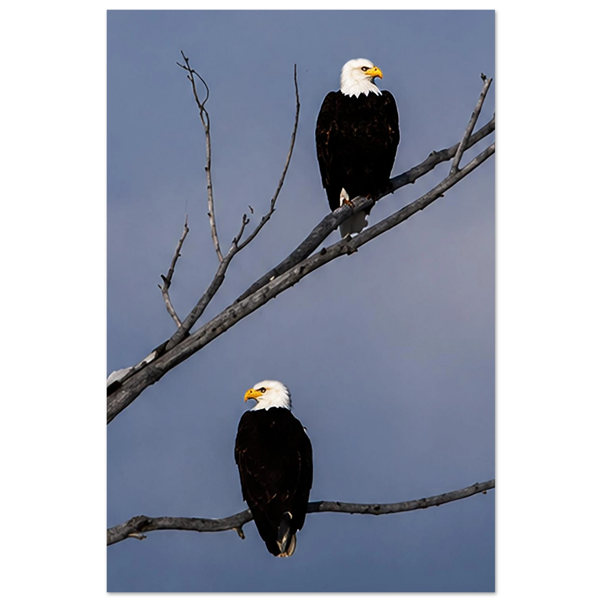 314e91f5-d5ab-4f0d-b79a-2574a7361dab
