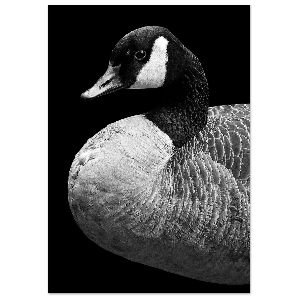 34e73927-8744-47b3-a1e5-0c711a79f2f0
