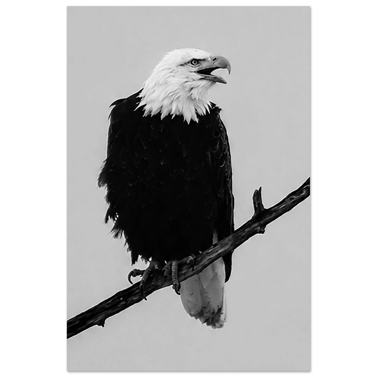 4ccdb0b2-656c-4941-ac78-70b01f1a77e1