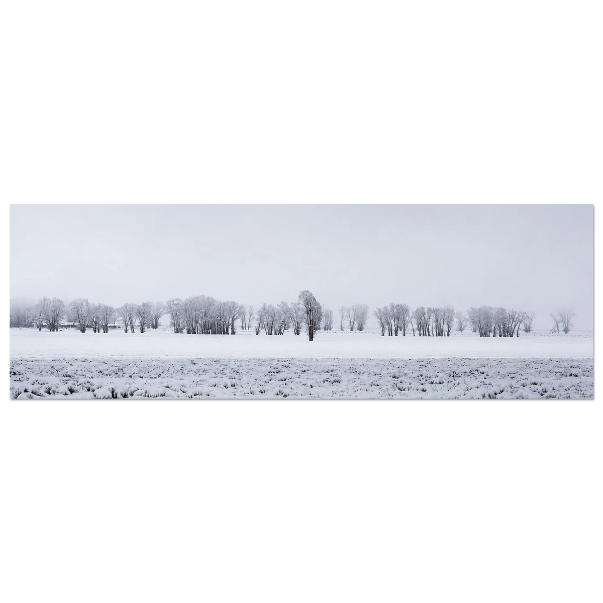 50448126-6635-4c76-937a-52ef4b6f872f