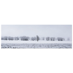 5c8138bd-c984-4b43-bdf9-6e2696fec9f3