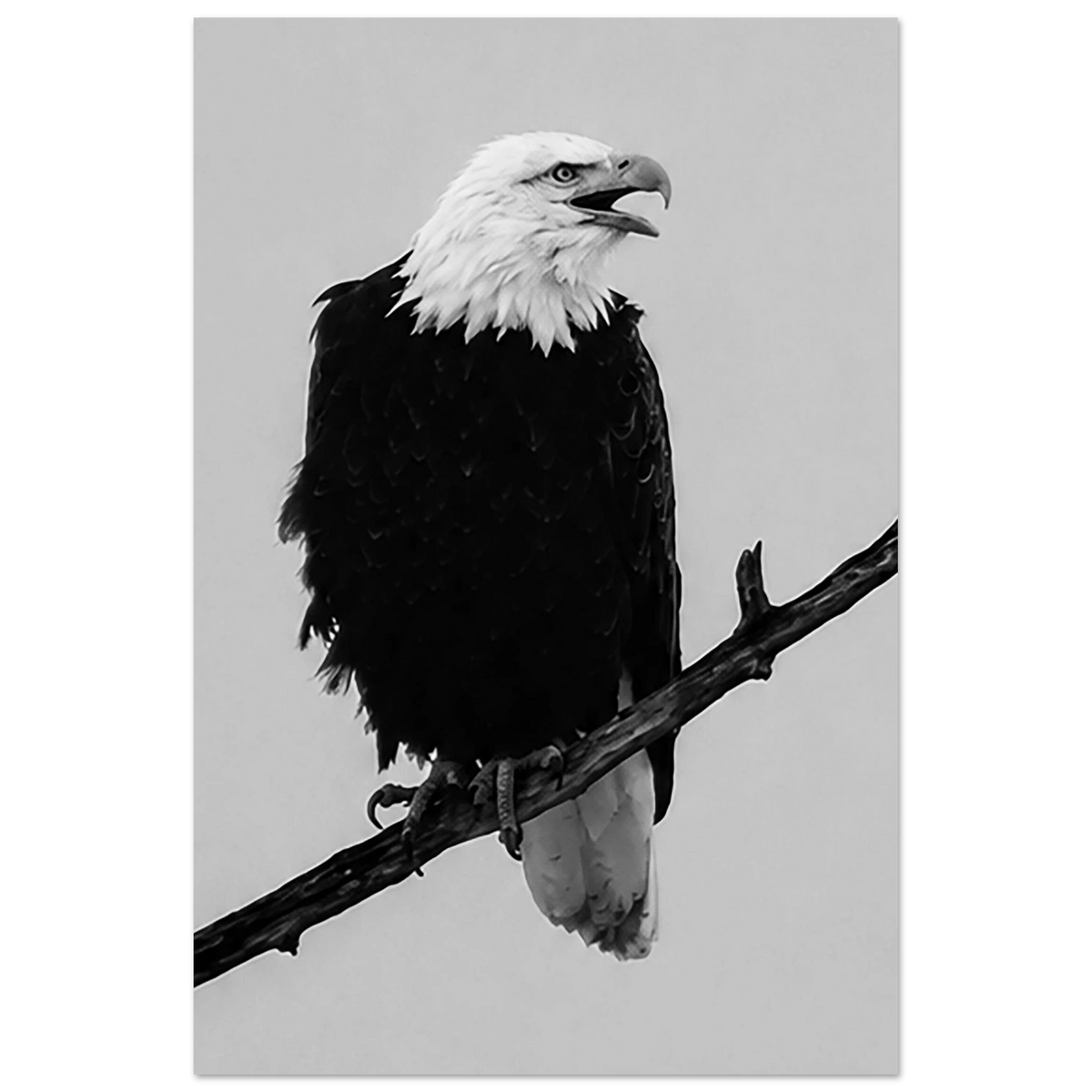 5e962086-776b-4120-8b80-681c19c7beeb