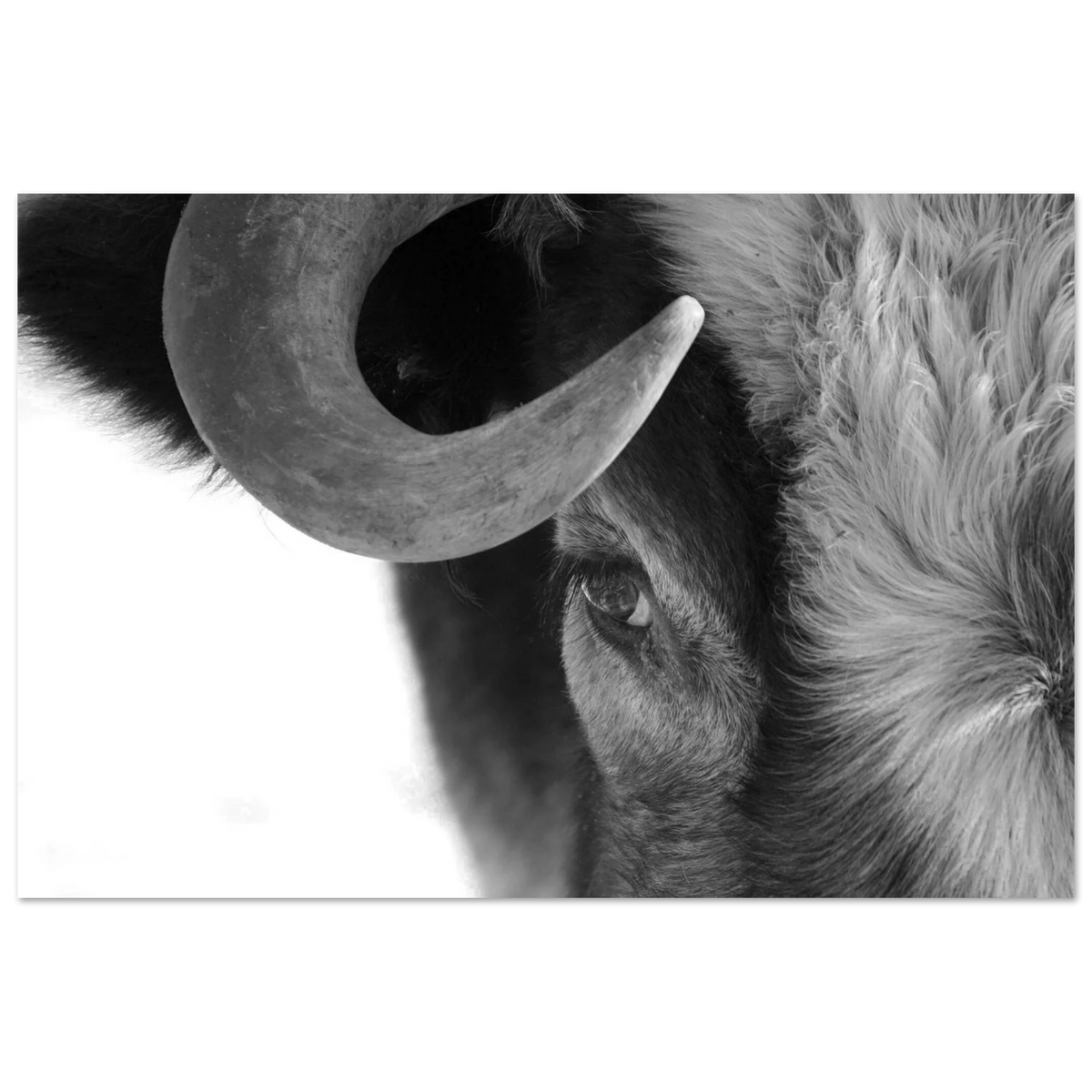 848da2e7-d08f-4ed0-be72-d04fa4c58465