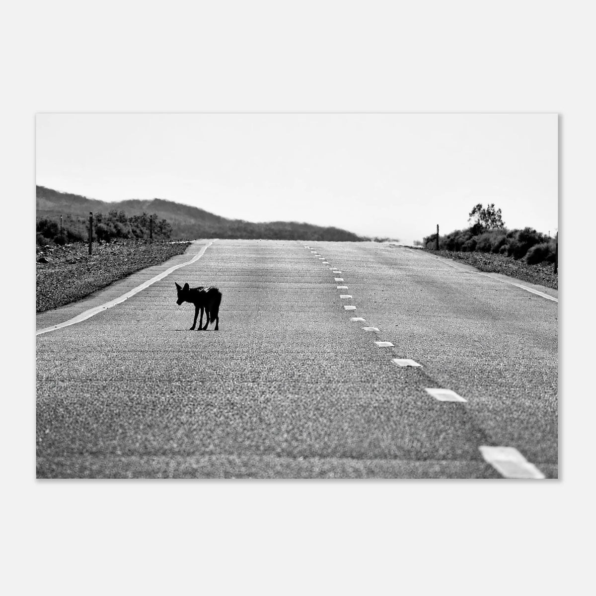 850daba4-a0d4-46f0-9f6f-2ebc914ab015