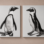 Marching and Dancing South African Penguins, Bundle Aluminum Prints Robert Moss Fine Art