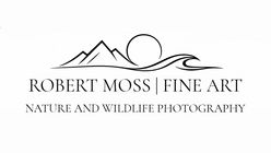 Navigate back to Robert Moss Fine Art homepage