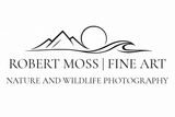 Navigate back to Robert Moss Fine Art homepage