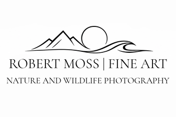 Navigate back to Robert Moss Fine Art homepage