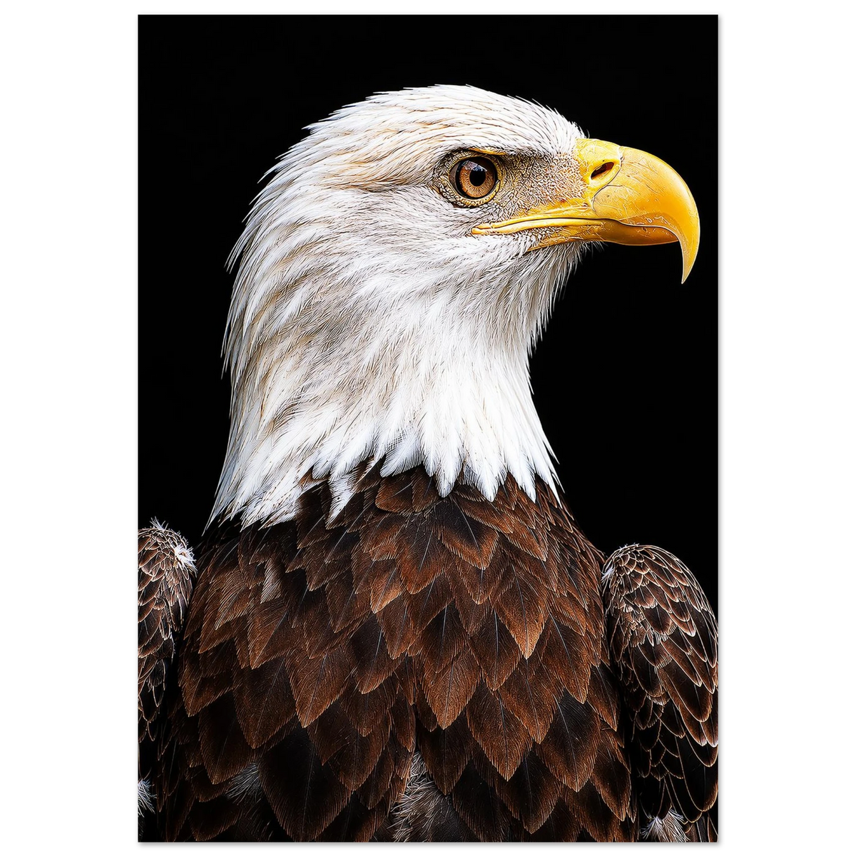 aefbc846-0b03-4e83-8eb2-964e957a5a47