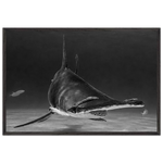 b2d26319-be36-46a4-a305-503a04508f0d