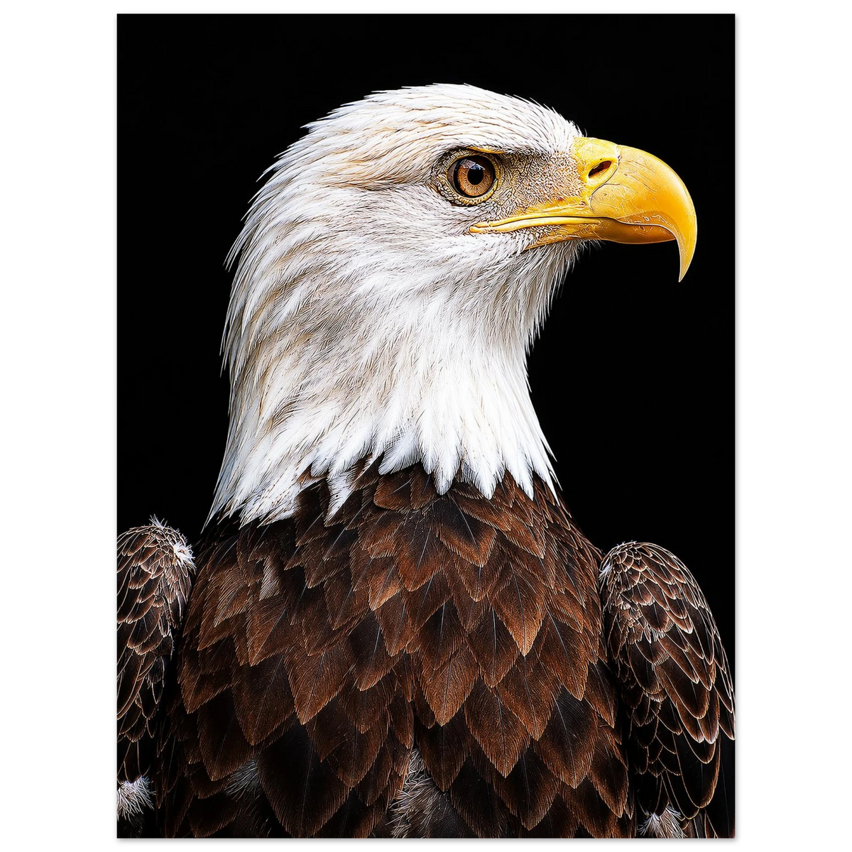 c562ea95-e8da-422b-91a6-54c3450d20b4
