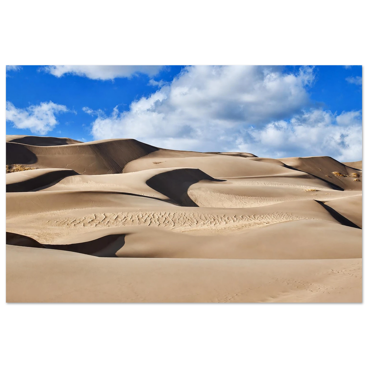 cb25809e-ad30-42b4-87eb-6908de8f3741