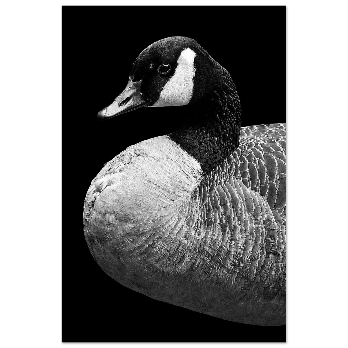 e41b61b1-d63a-4184-82b7-a04dae677892
