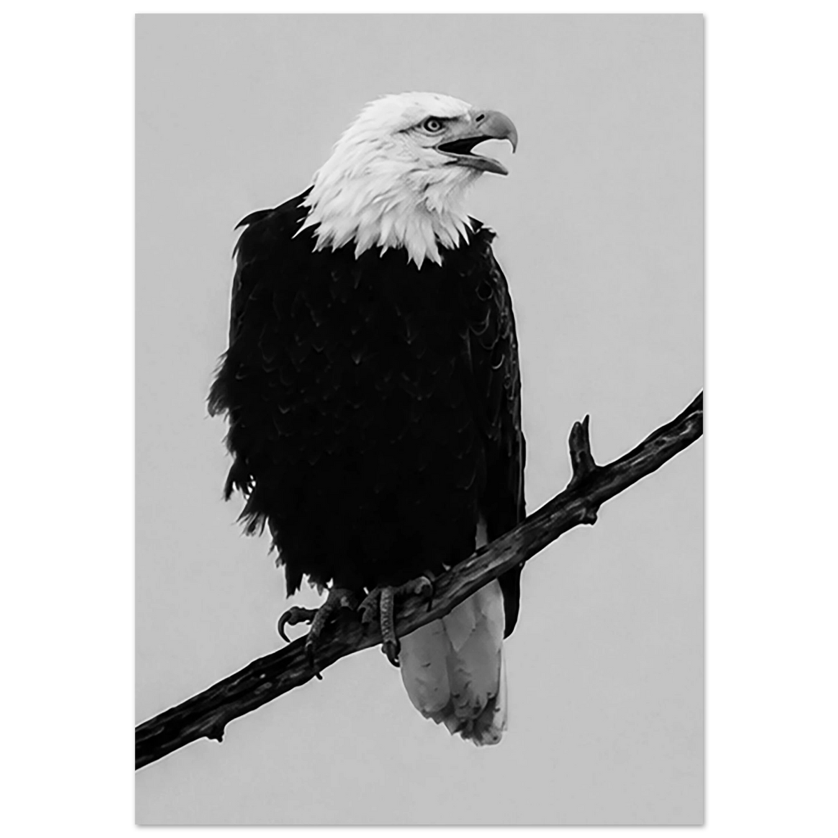 f1b1f3e1-8ee2-44bf-8cf9-f6b63d61765f