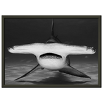 f4ca2fc5-9dca-4251-828f-1f1486088810