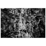 f843b84e-b44d-4e20-af4d-f71a7cb2c083