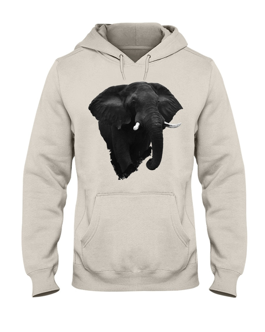 58ad3e1685171cb5a0823cd619fb0379e88a2fd68c375dfe3ebe352aa84881c8